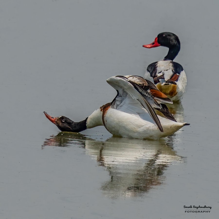 20230408 - Kamarganti - 18-E