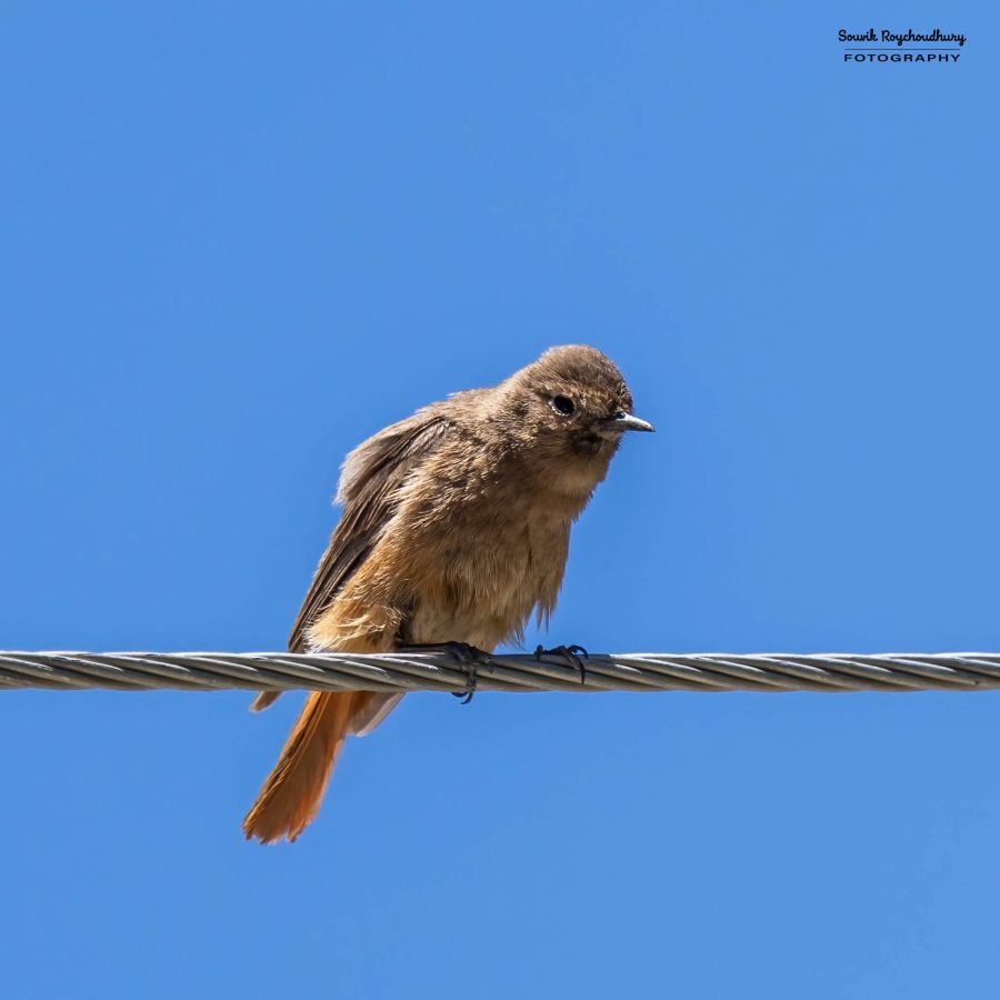20230623 - Karu - 75-E