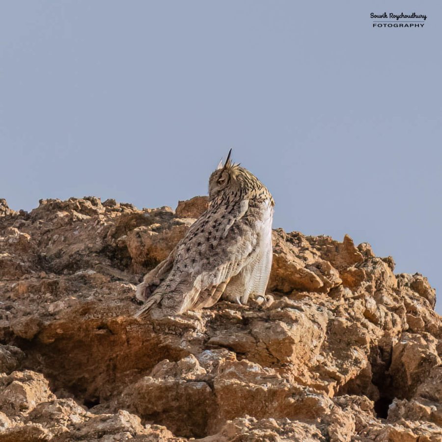 20230627 - Hanle - 143-E