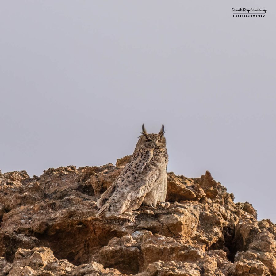 20230627 - Hanle - 249-E