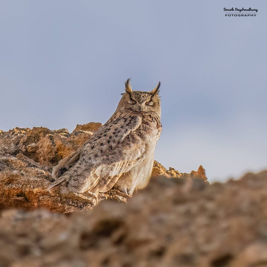 20230627 - Hanle - 327-E