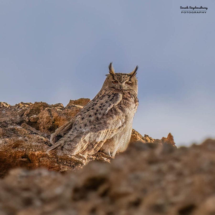 20230627 - Hanle - 332-E