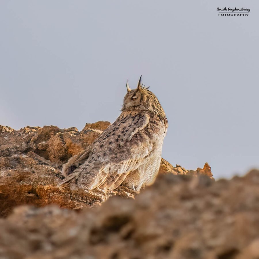 20230627 - Hanle - 343-E
