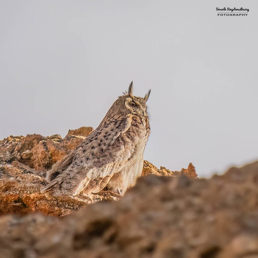 20230627 - Hanle - 361-E