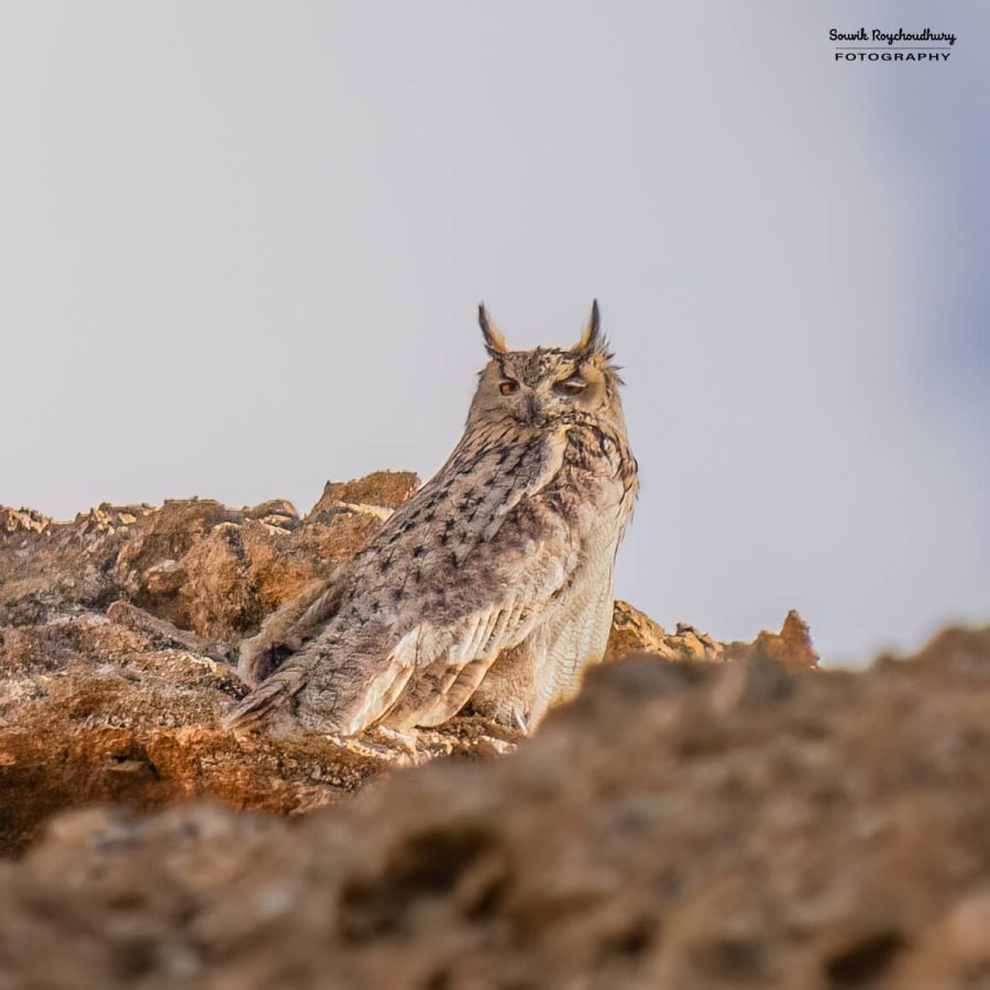 20230627 - Hanle - 372-E