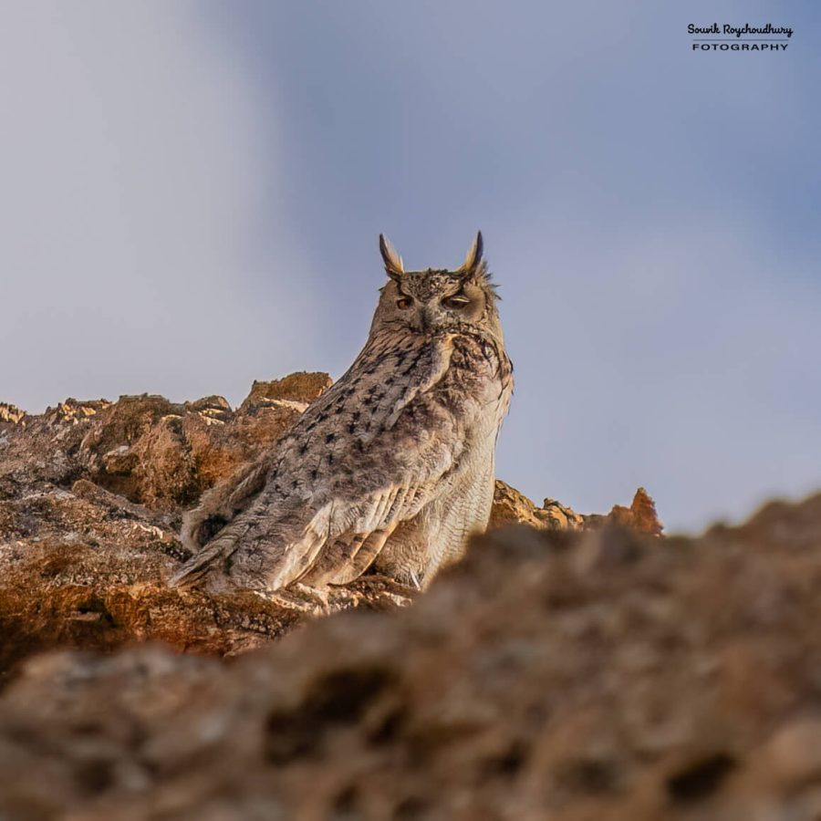 20230627 - Hanle - 452-E