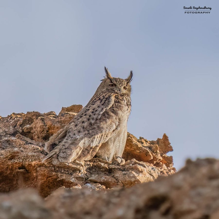 20230627 - Hanle - 502-E