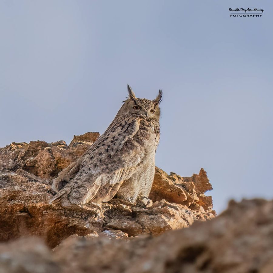 20230627 - Hanle - 511-E