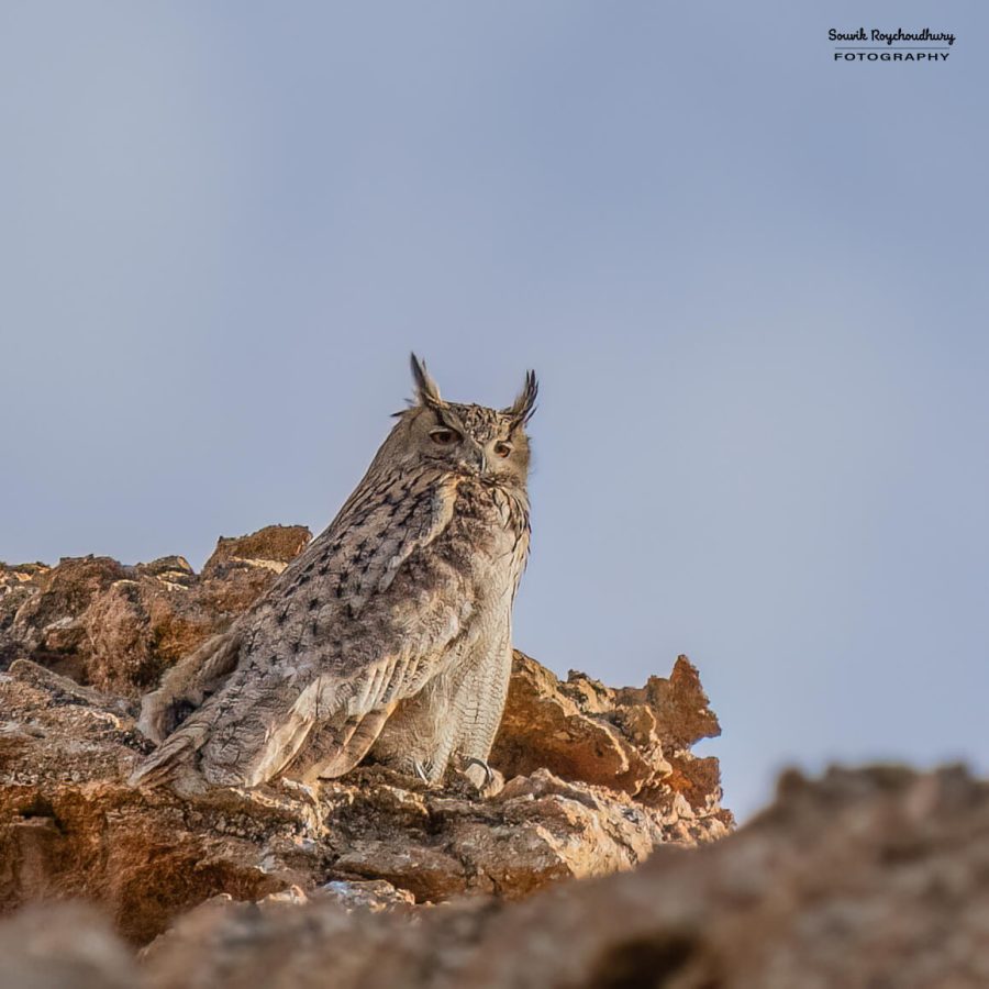 20230627 - Hanle - 519-E