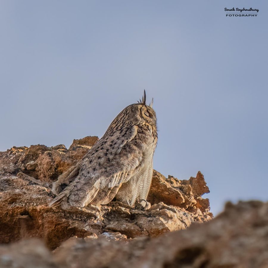 20230627 - Hanle - 534-E