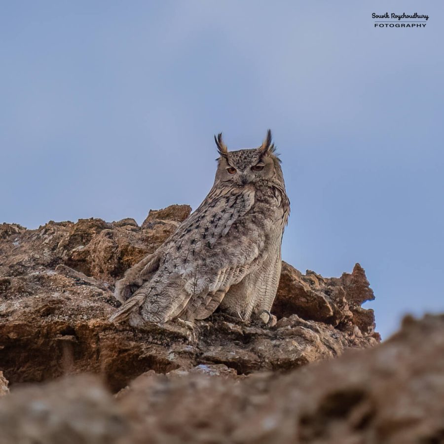 20230627 - Hanle - 539-E