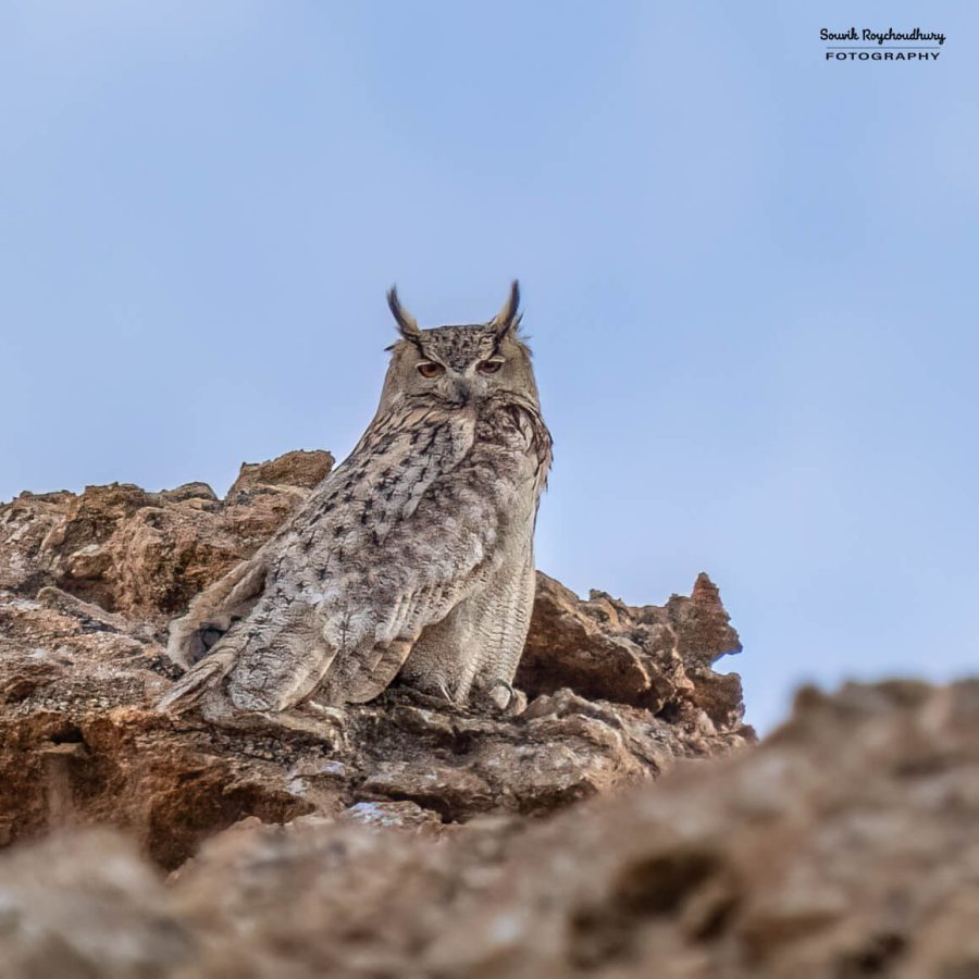 20230627 - Hanle - 551-E