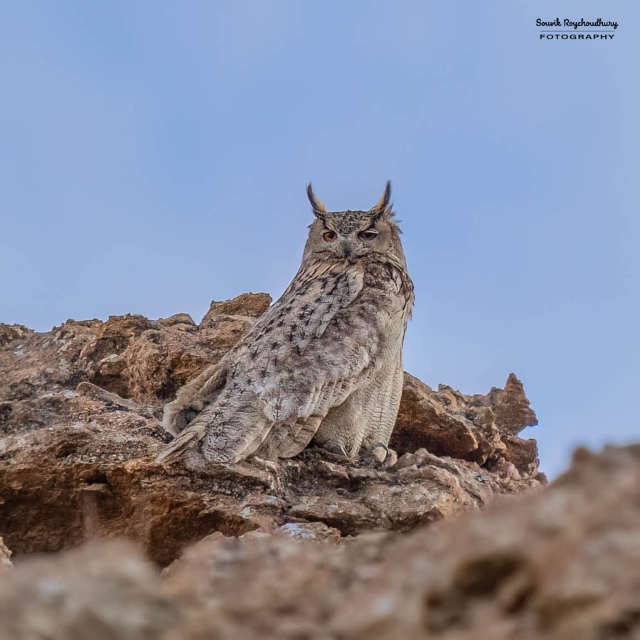 20230627 - Hanle - 567-E