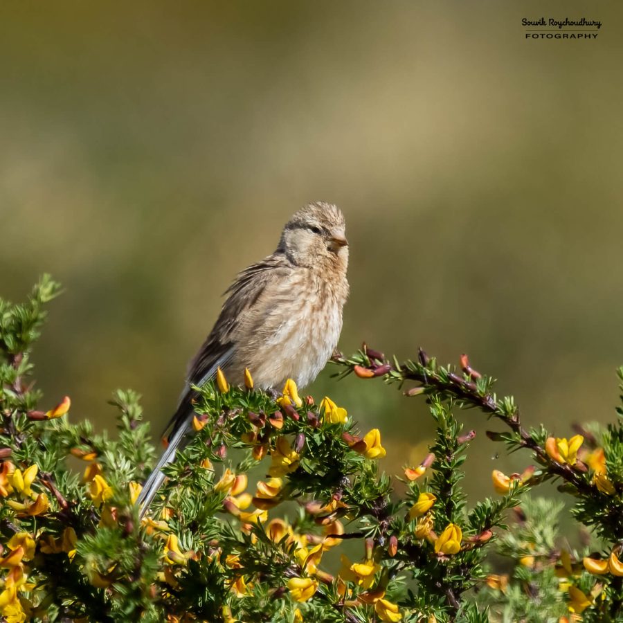 20230627 - Pangong Tso to Hanle - 159-E