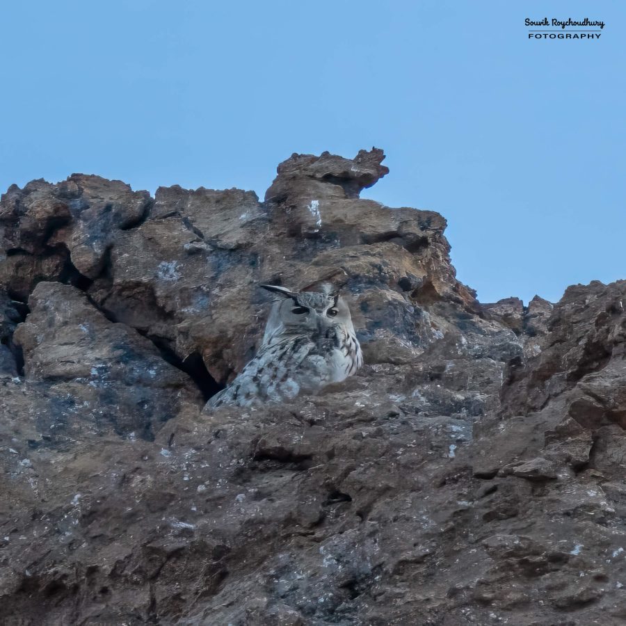 20230628 - Hanle 2 - 1037-E
