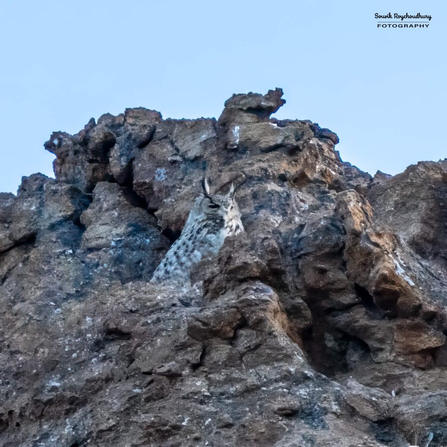 20230628 - Hanle 2 - 713-E