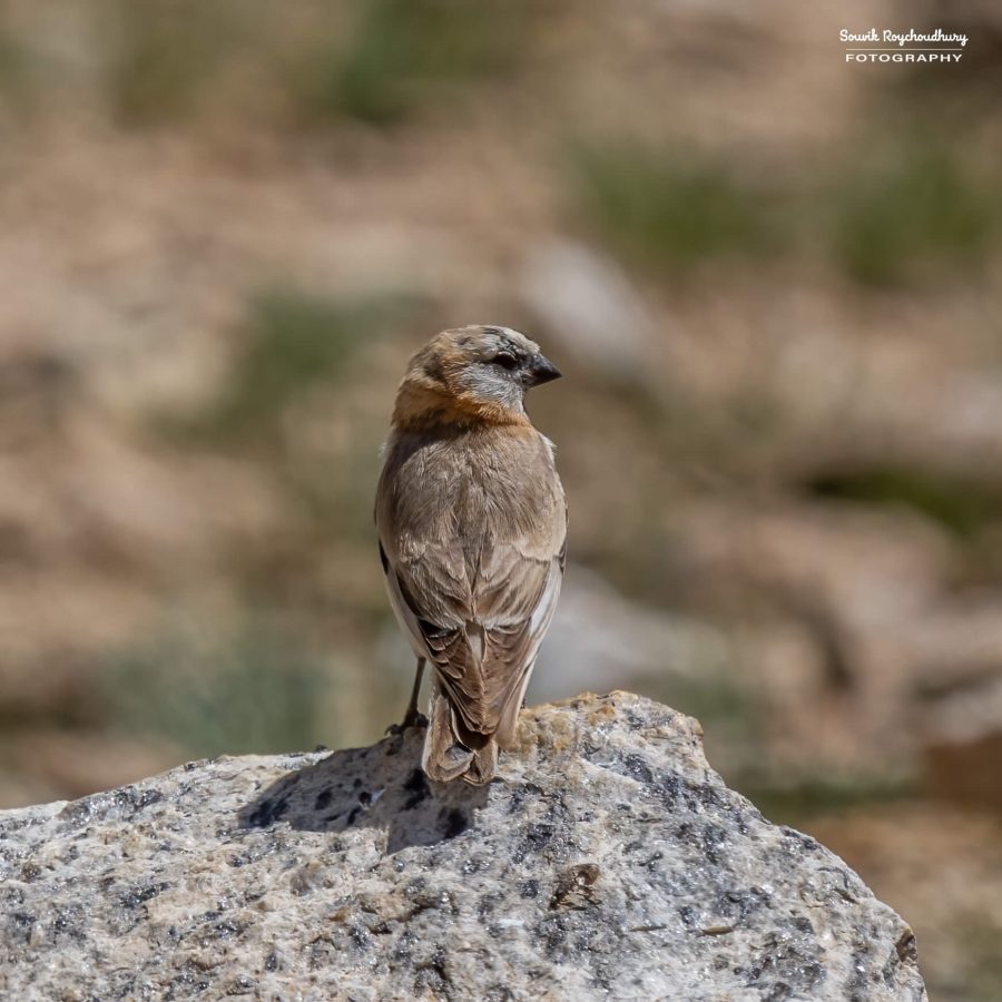 20230629 - Tso Kar - 1111-E