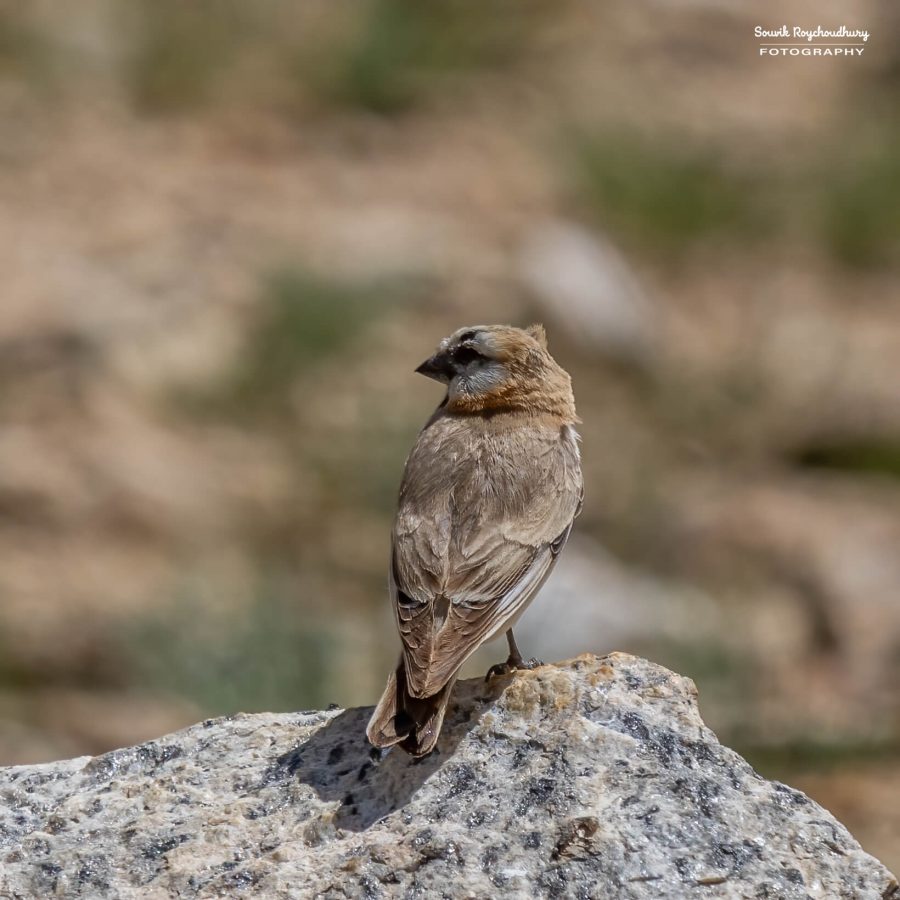 20230629 - Tso Kar - 1161-E