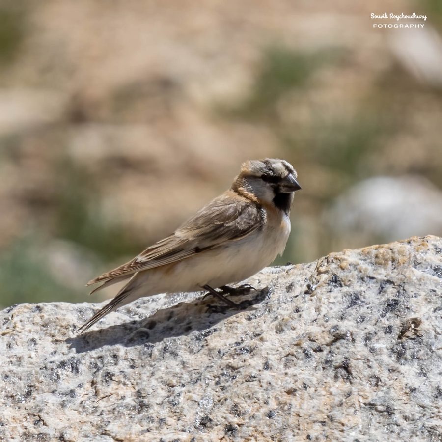 20230629 - Tso Kar - 1216-E