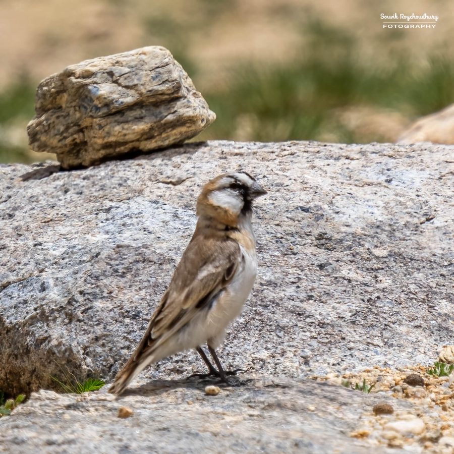 20230629 - Tso Kar - 134-E