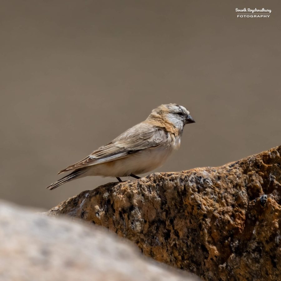 20230629 - Tso Kar - 1437-E