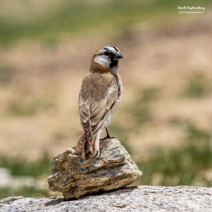 20230629 - Tso Kar - 182-E