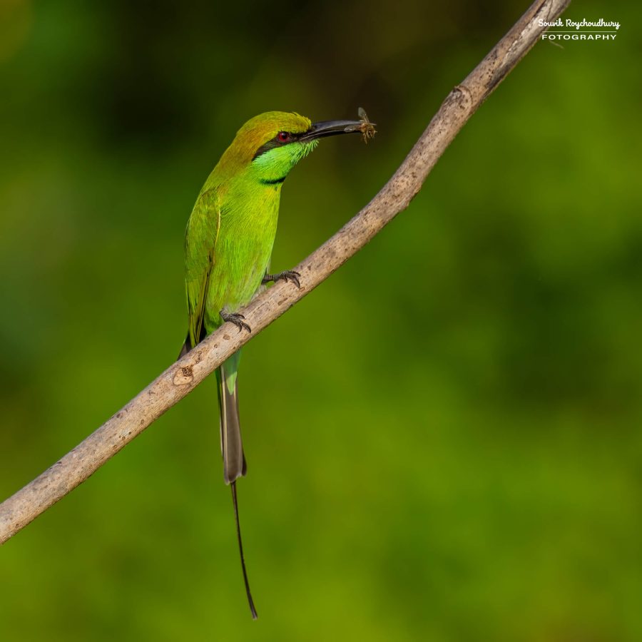 20231114 - Rajarhat - 106-E