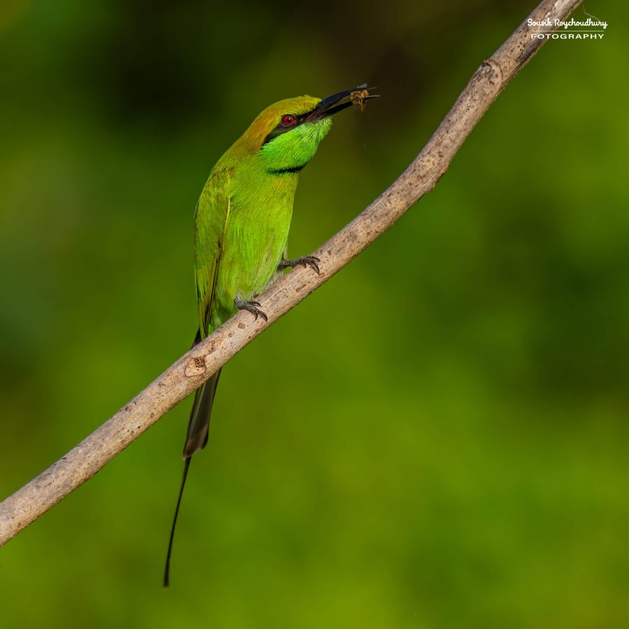20231114 - Rajarhat - 109-E