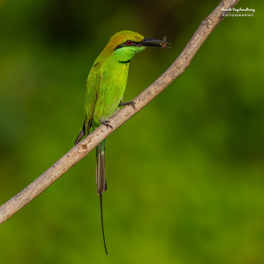 20231114 - Rajarhat - 120-E