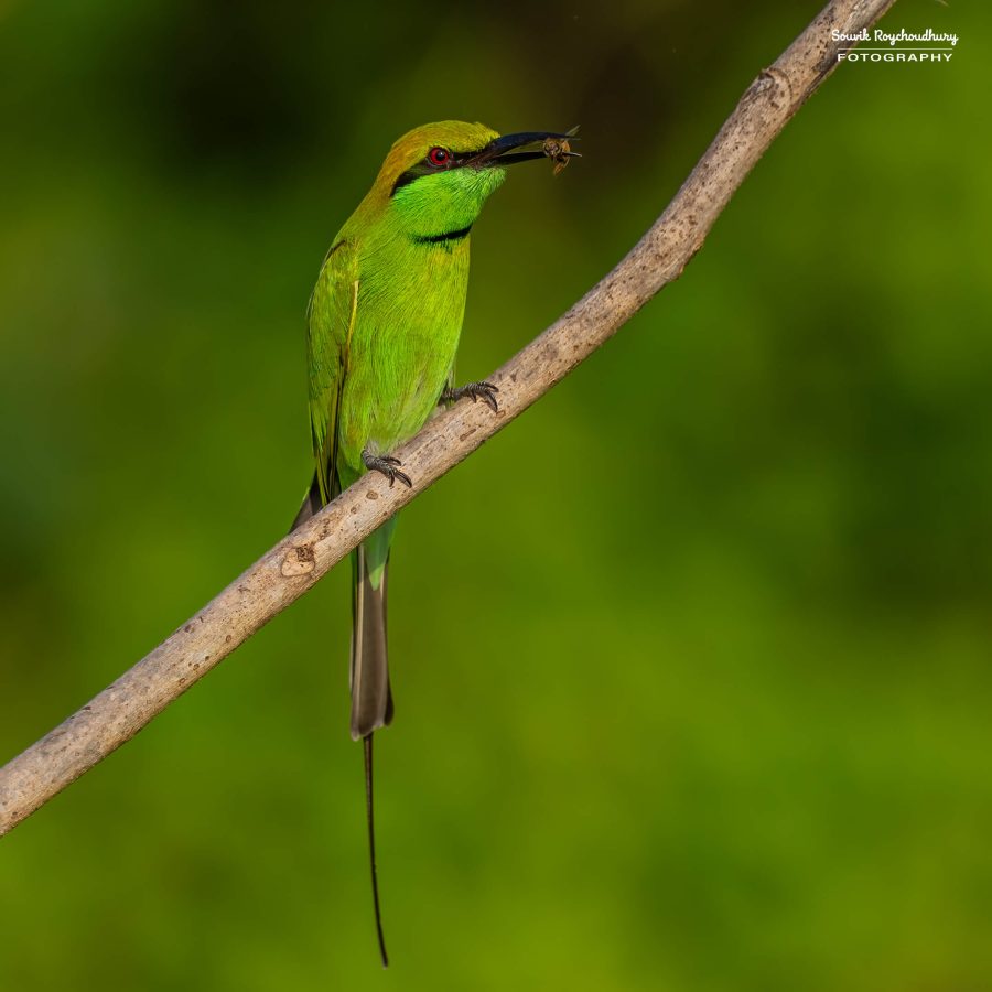 20231114 - Rajarhat - 128-E