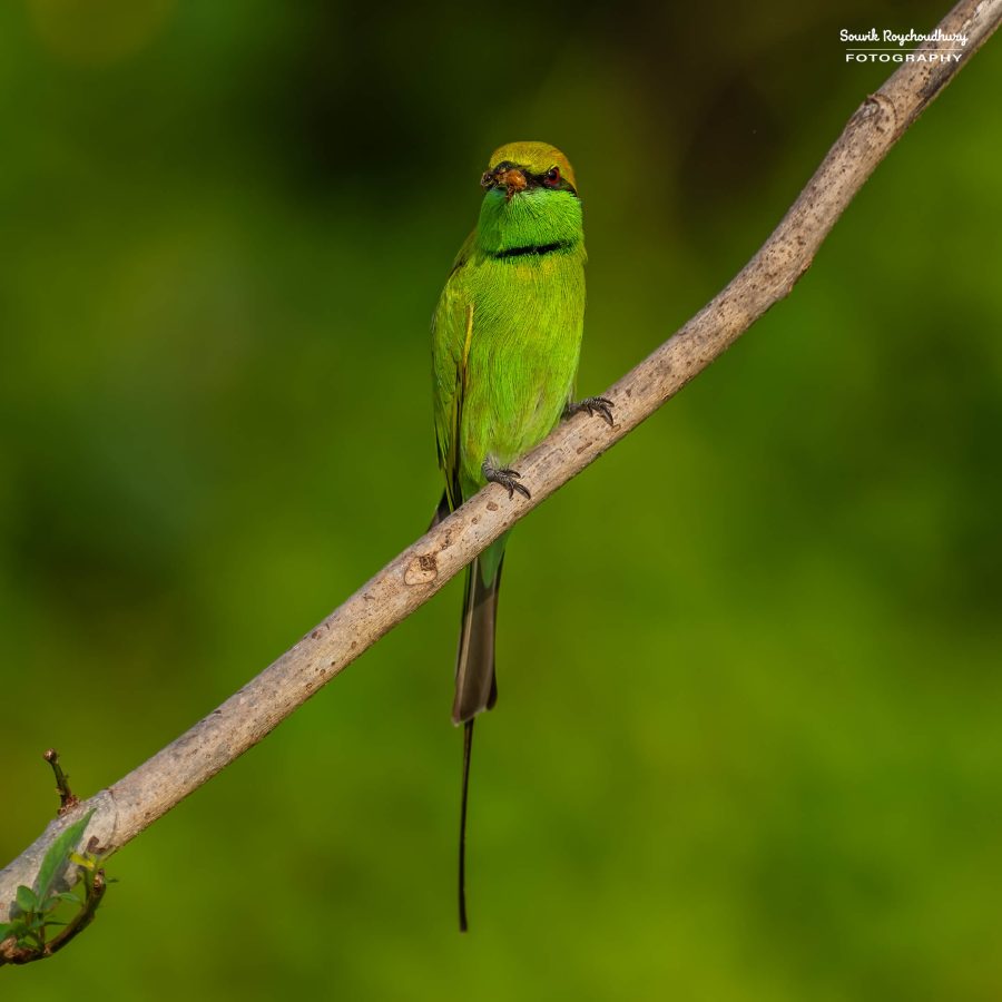 20231114 - Rajarhat - 132-E