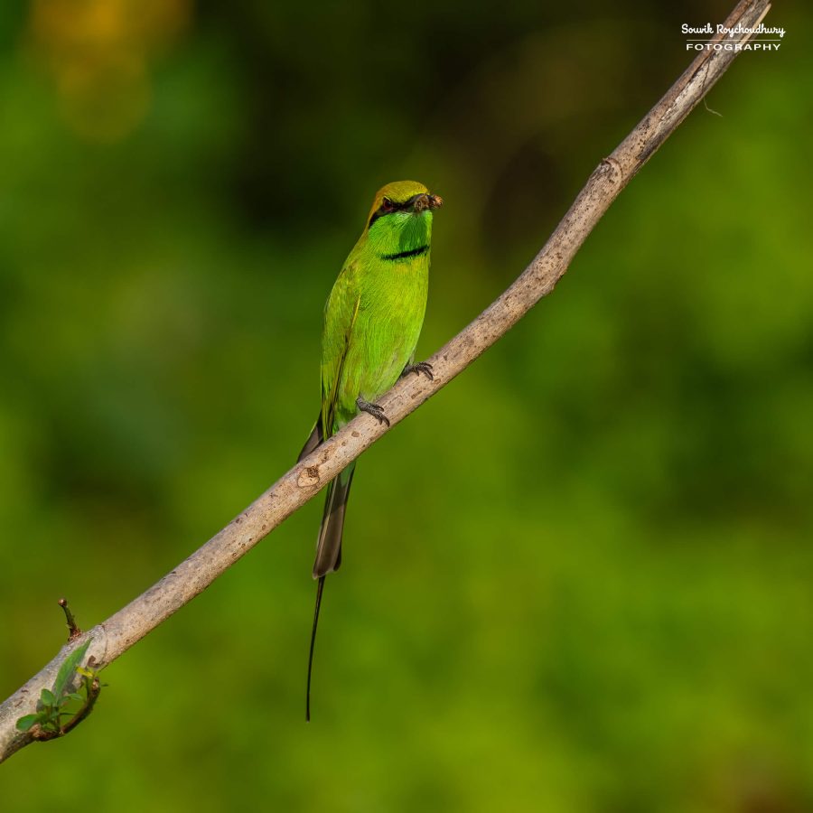 20231114 - Rajarhat - 169-E