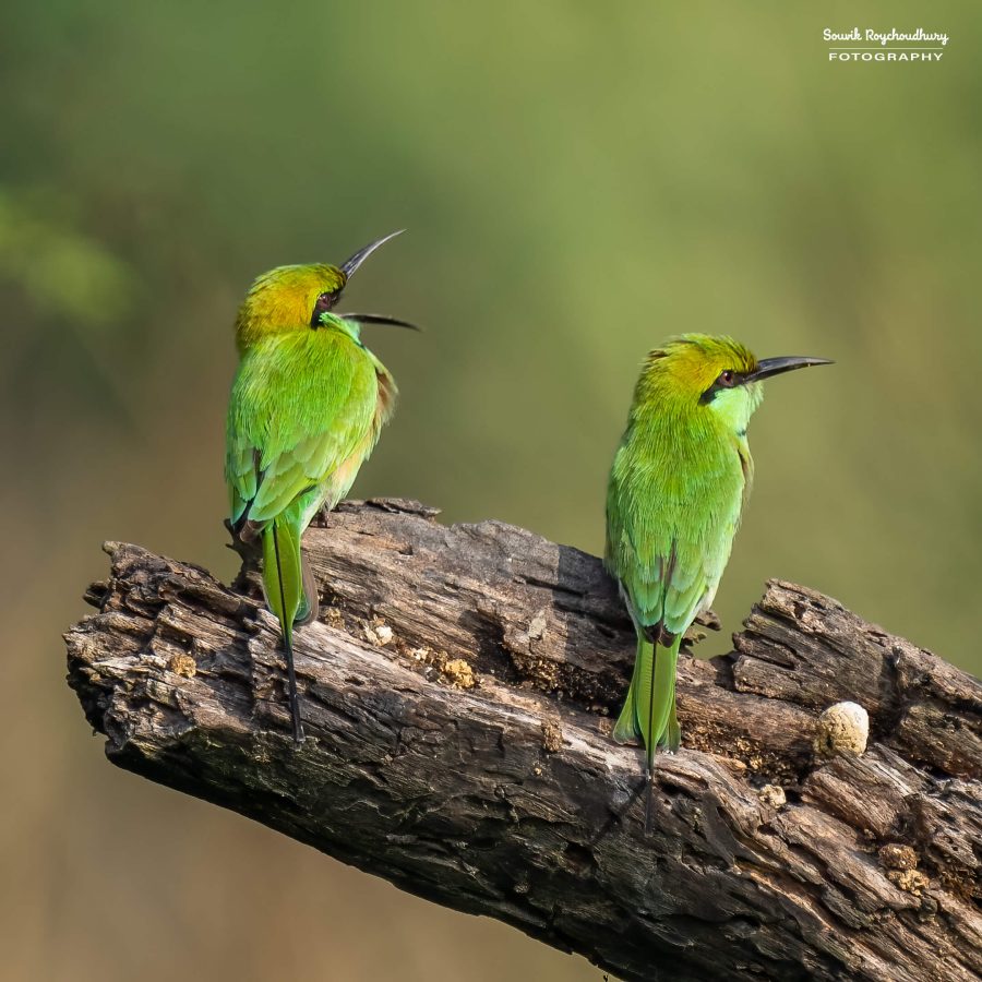 20231114 - Rajarhat - 87-E