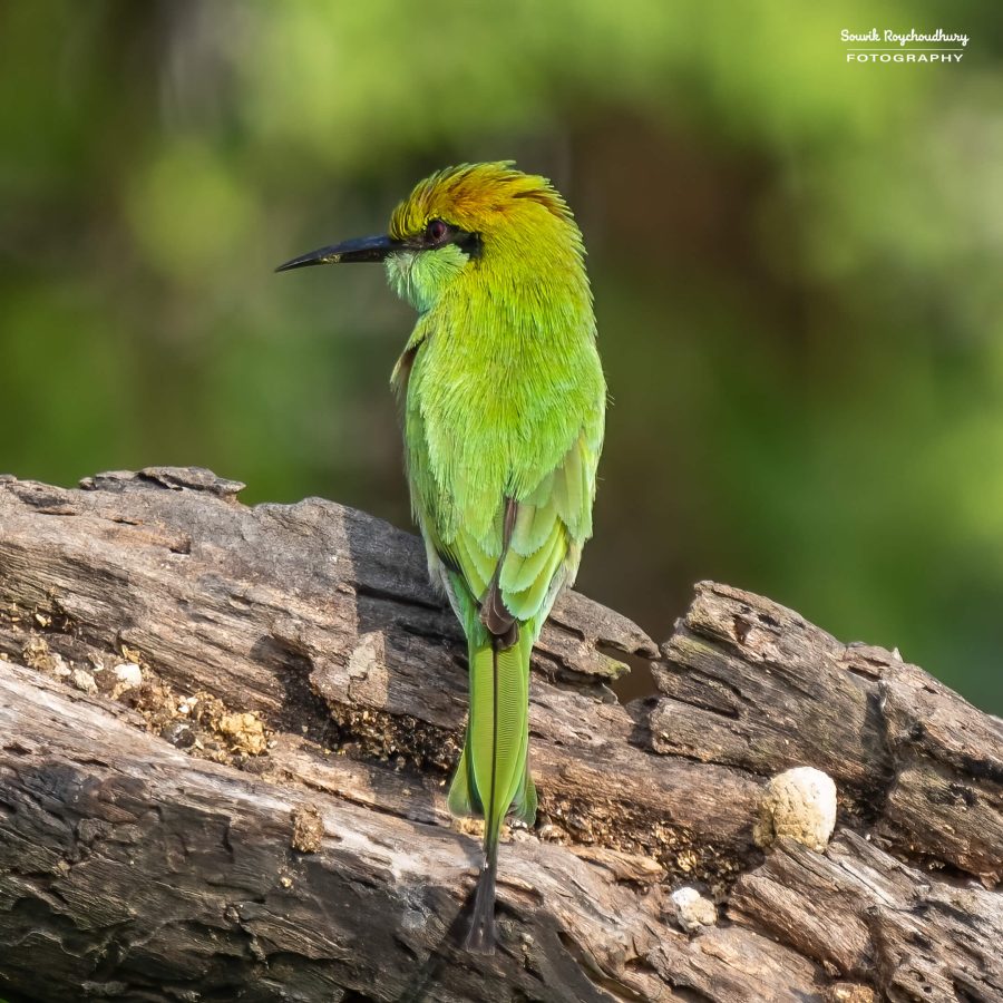 20231114 - Rajarhat - 95-E